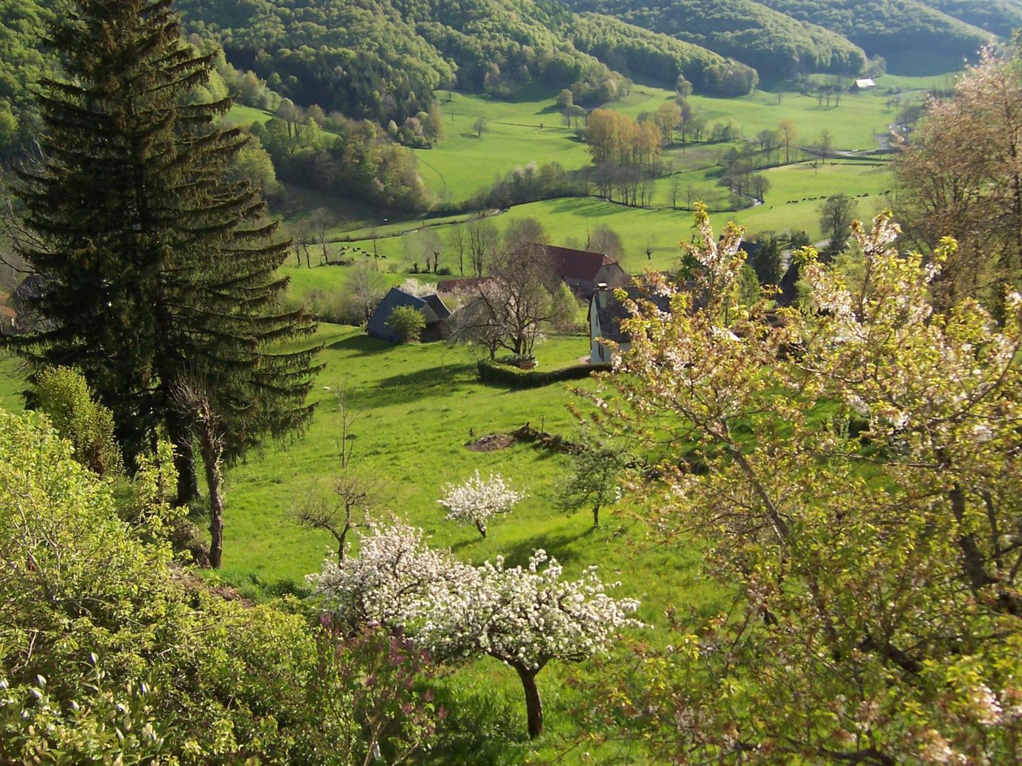 Auberge Hotel De Tournemire - Cantal Buitenkant foto