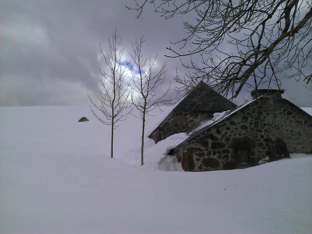 Auberge Hotel De Tournemire - Cantal Buitenkant foto